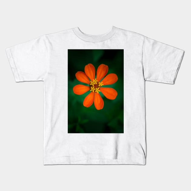 Orange Clavelon - Flower Photography Kids T-Shirt by GraphicBazaar